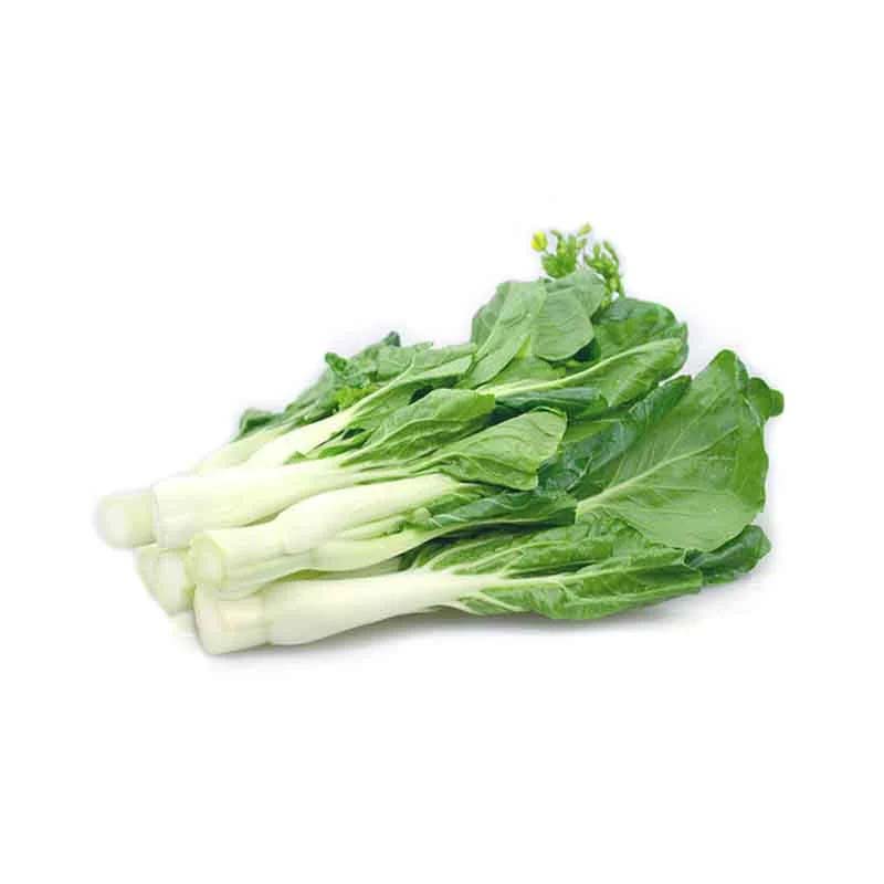 蔬菜配送價格表 2024-11-11