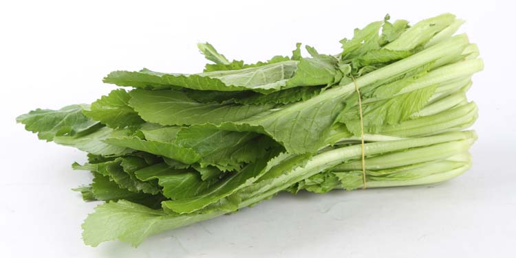 祁祿山蔬菜配送點地址