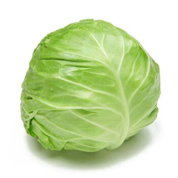 田心蔬菜配送站電話號碼