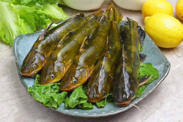 水果配送價格表 2024-4-22