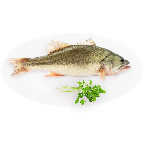 東莞市菜籃子價格監測表(2024年9月9日-9月13日)